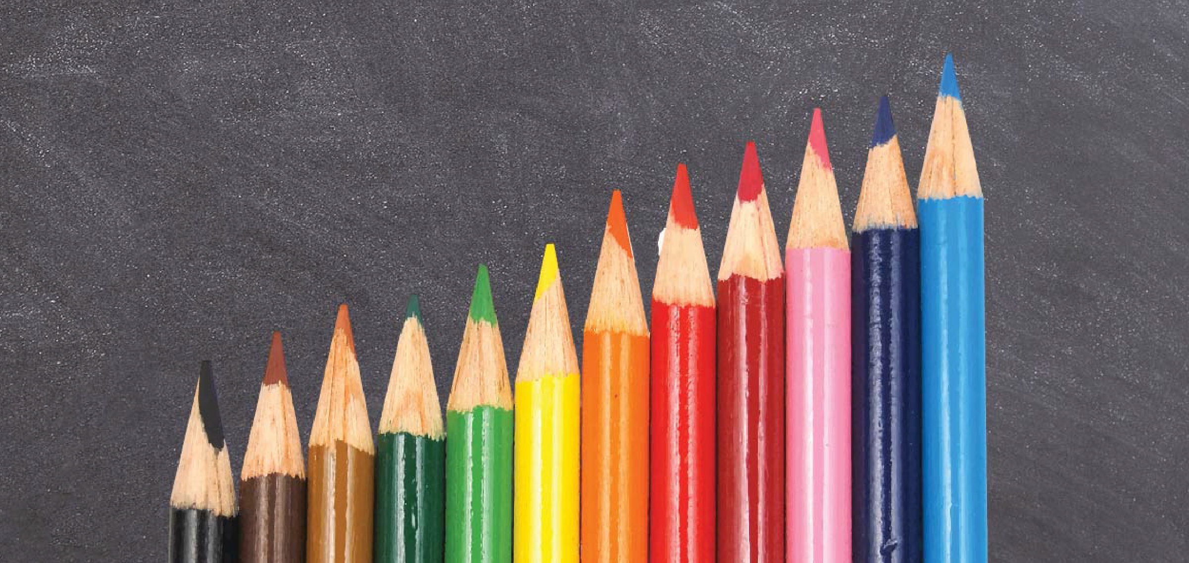 Back to School Website Banner