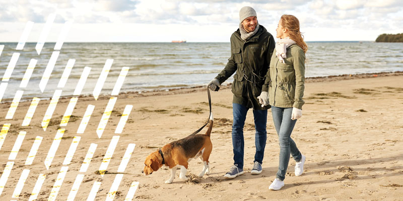 What is a Certificate of Deposit?