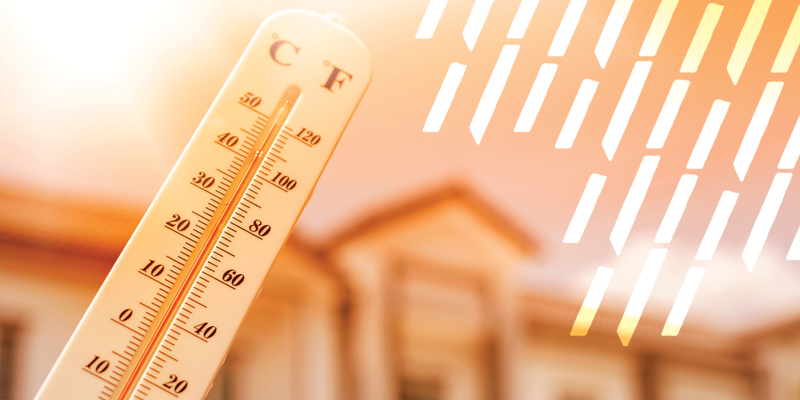 Hot Summer Solutions: How to Stay Cool, Safe, and Well-Fed