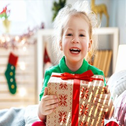 Matching Funds Holiday Donation Program