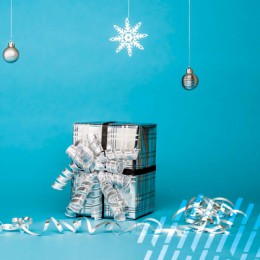 Matching Funds up to $9,000 Total this Holiday Season