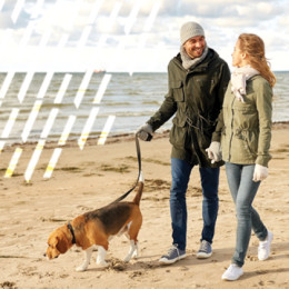 Keeping customers financially safe