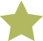 green star icon